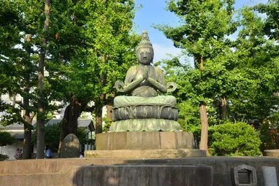 DSC_3508 (Large).JPG